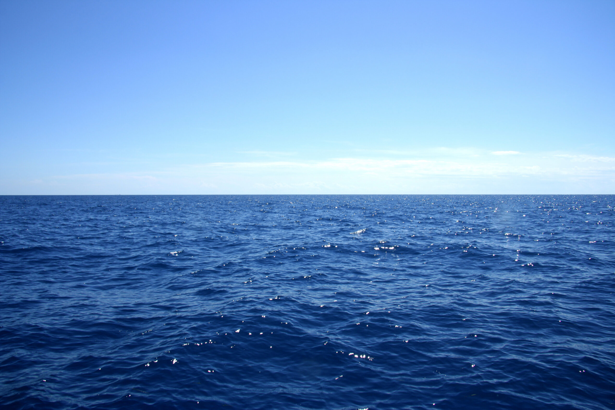 © Papo - Fotolia.com